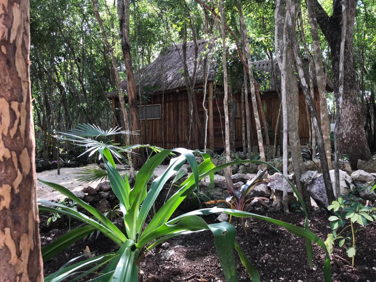 Bayou Tulum Zewnętrze zdjęcie